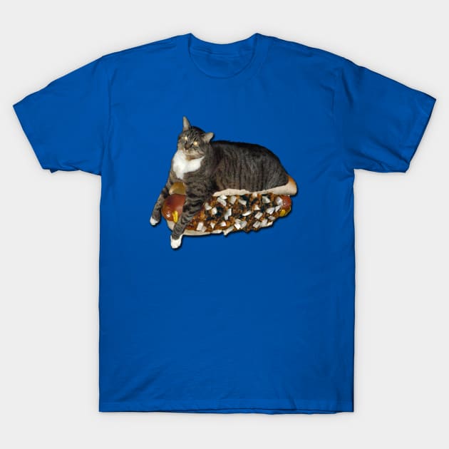 Floating on a Chili Dog T-Shirt by Good4You